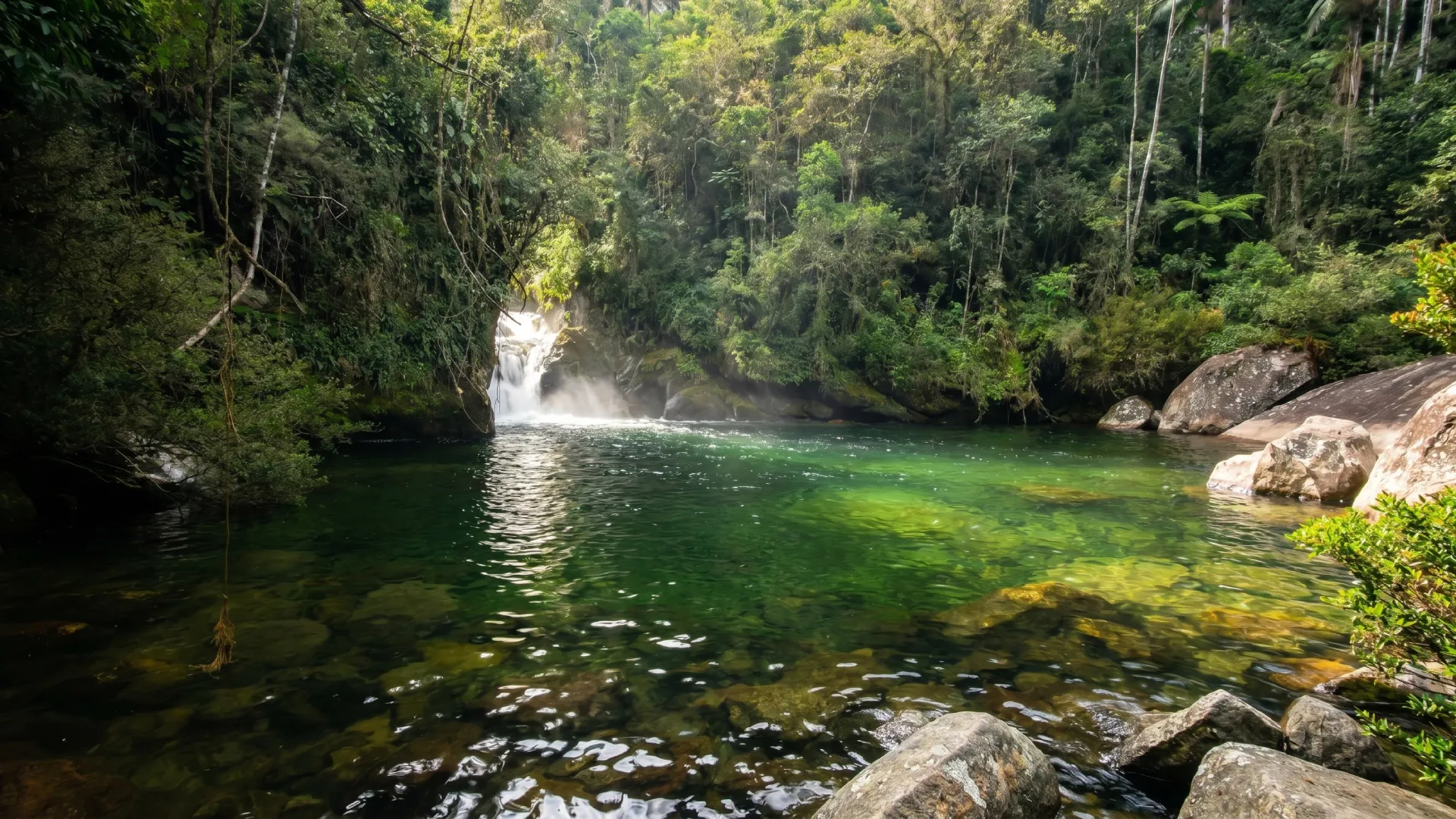 Parque Nacional de Itatiaia: o que visitar saindo de Penedo