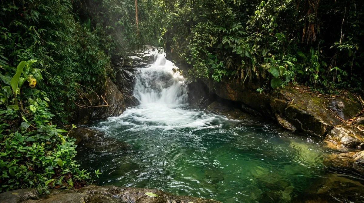 Poço de água esverdeada cercado de mata na Serrinha do Alambari, perto de Penedo